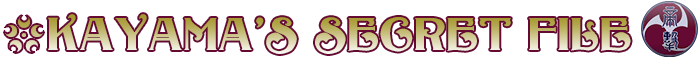 Secret File